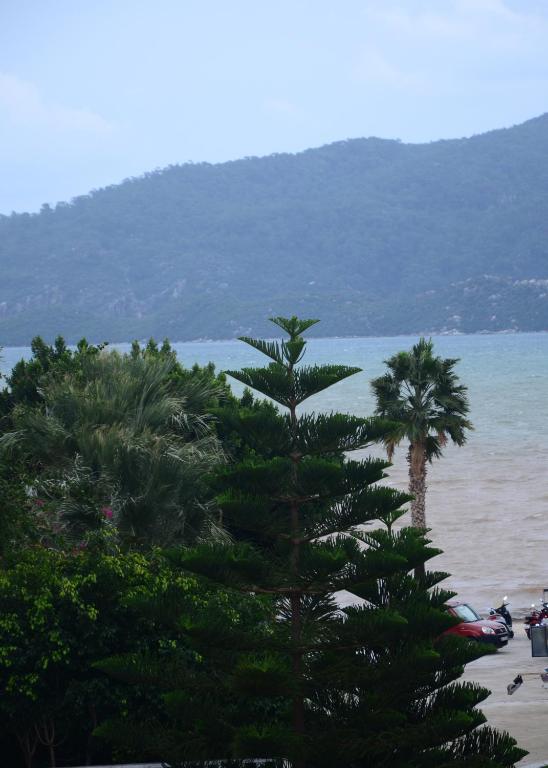 バルコニー/テラス