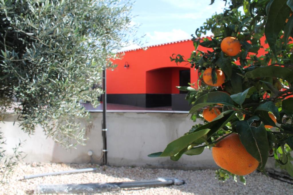 B&amp;B Vesuvio Smiling — Hotel in Ercolano