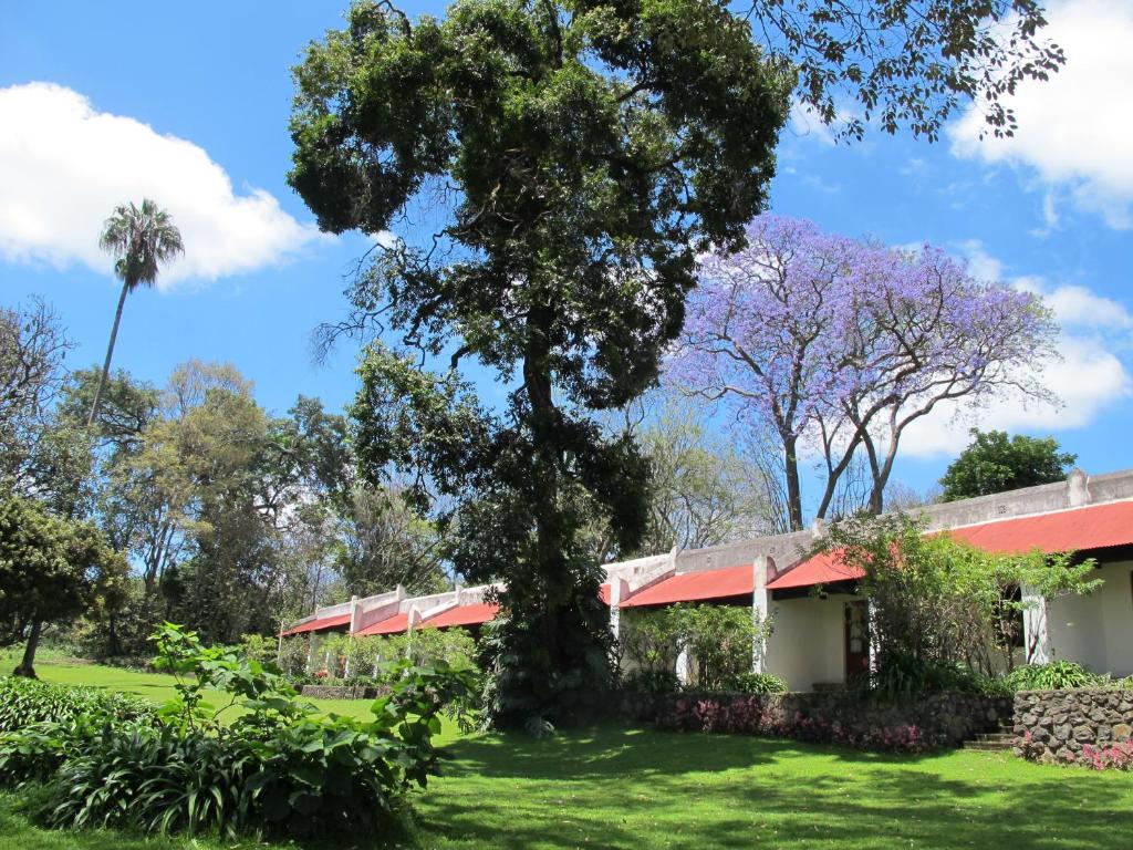 Ngare Sero Mountain Lodge photo
