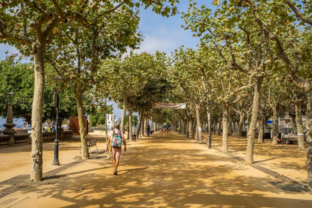 Hotel Mar Blau — Attractions in the area in Calella, Catalonia