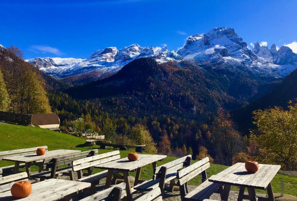 Exterior view, Chalet Lovely Fogajard in Madonna di Campiglio