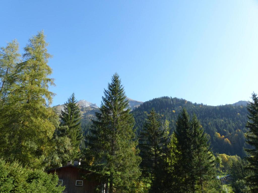 Appartement chaleureux avec parking à La Clusaz - FR-1-437-68 - 4