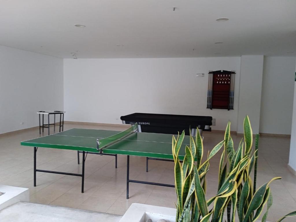 Aqualina Green Girardot - 4
