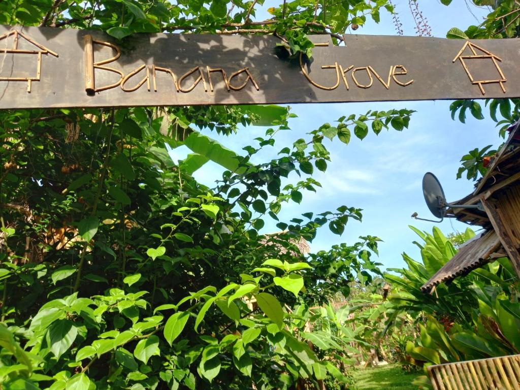 Banana Grove El Nido photo