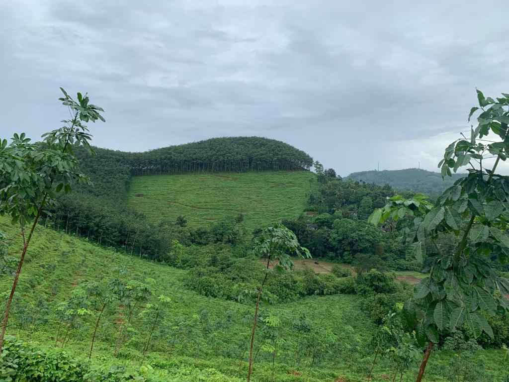 Ella Residence Eco Resort photo