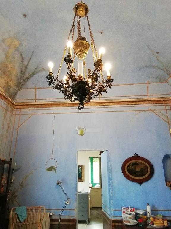 Villa Manasse photo