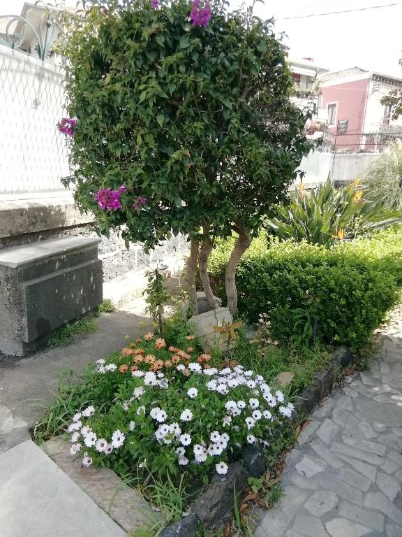 Villa Manasse photo