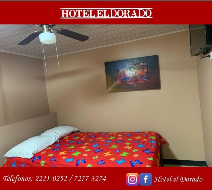 Hotel Dorado photo