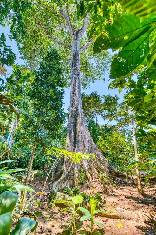 Surrounding environment