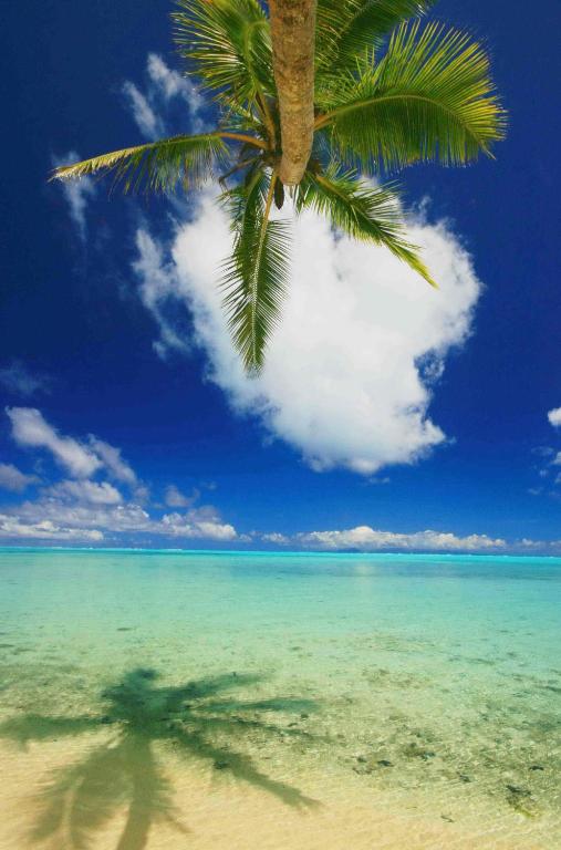 Surrounding environment