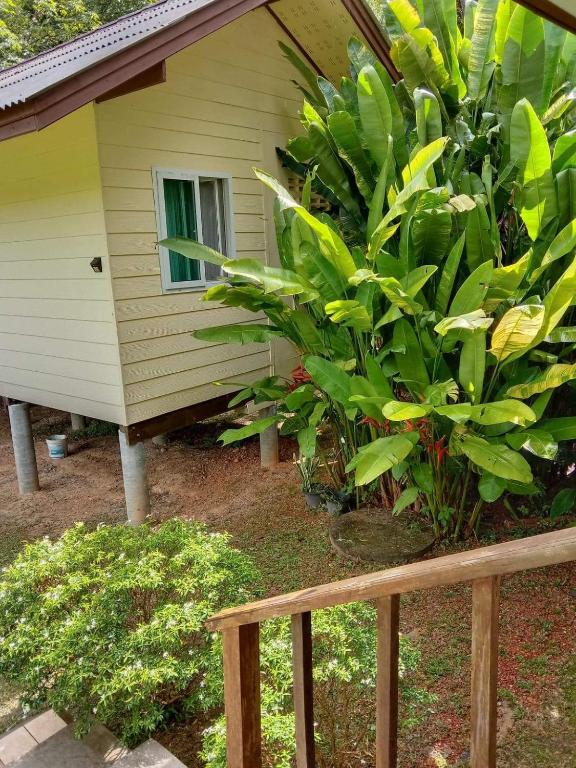 The Best Bungalow photo