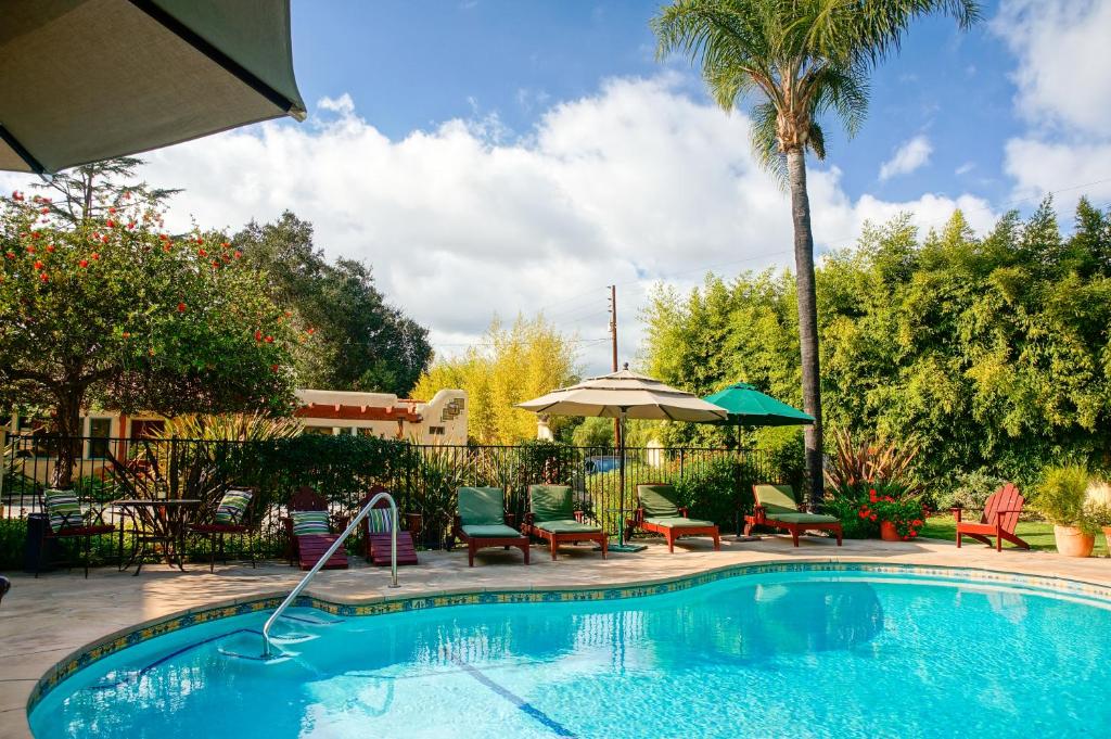 Blue Iguana Inn photo
