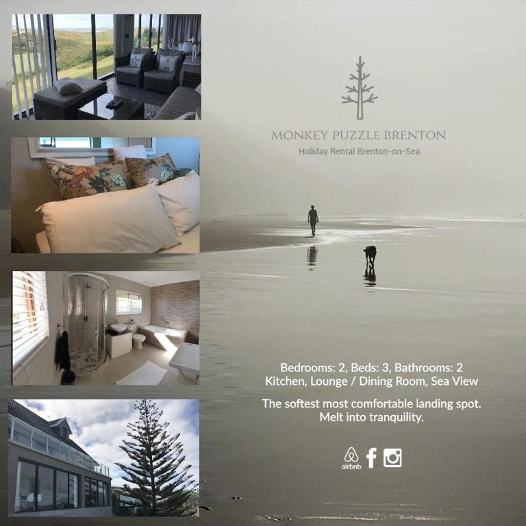 The Monkey Puzzle, Brenton-on-Sea