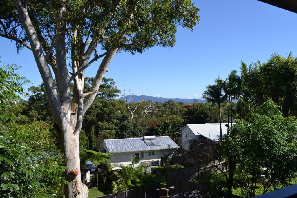 Ashmore, South West Rocks