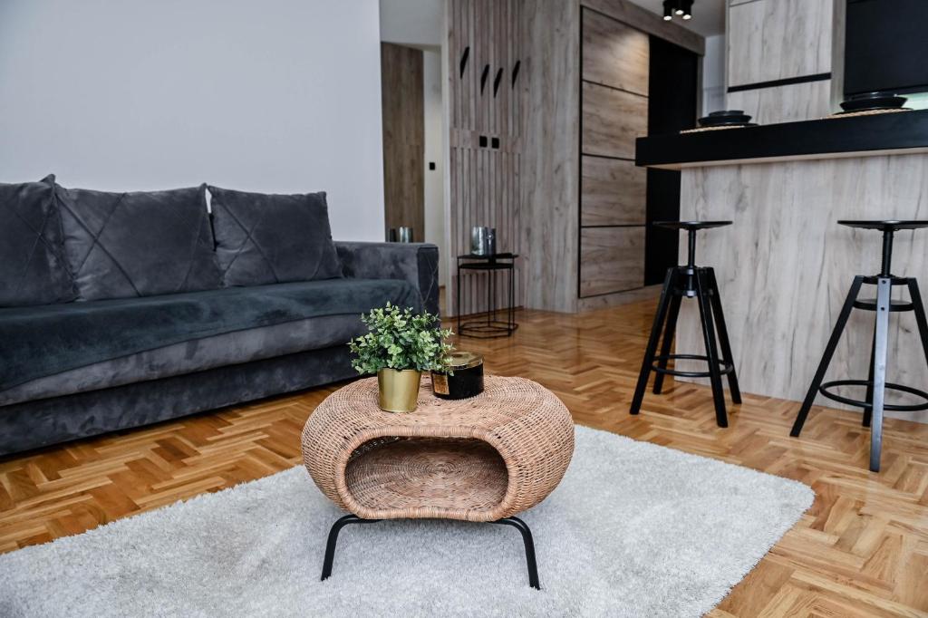 Cozy Apartment Plus photo