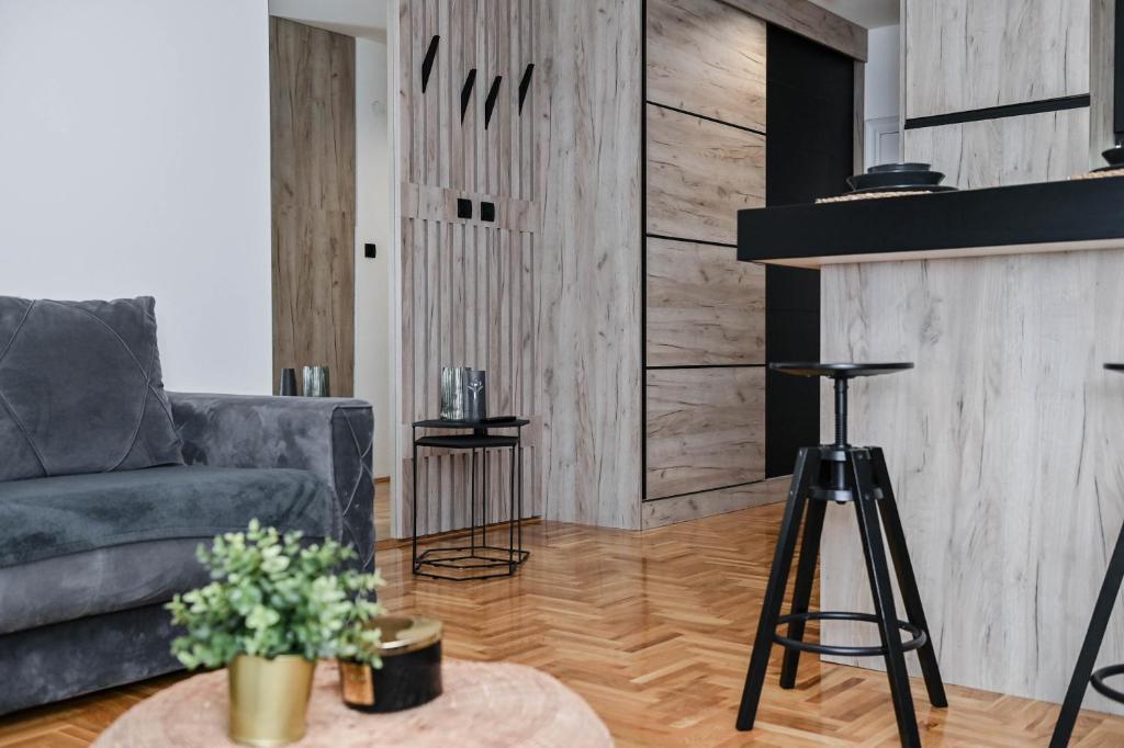 Cozy Apartment Plus photo