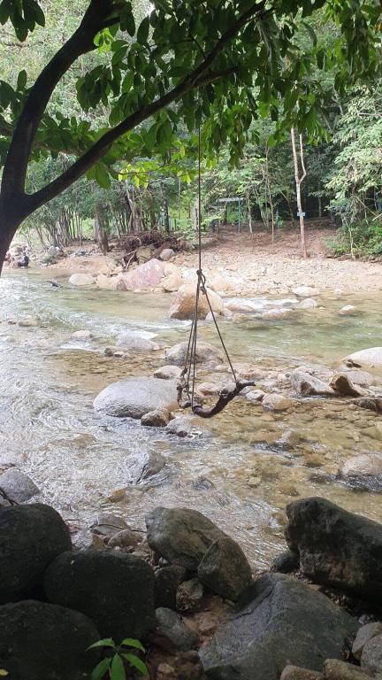 Surrounding environment