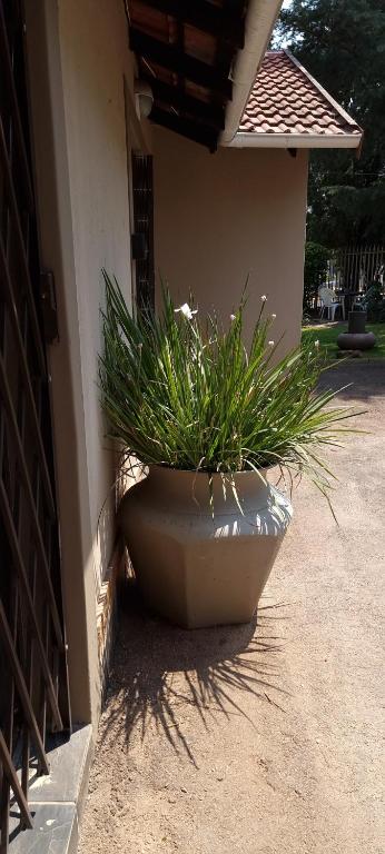 The Moore Guesthouse photo