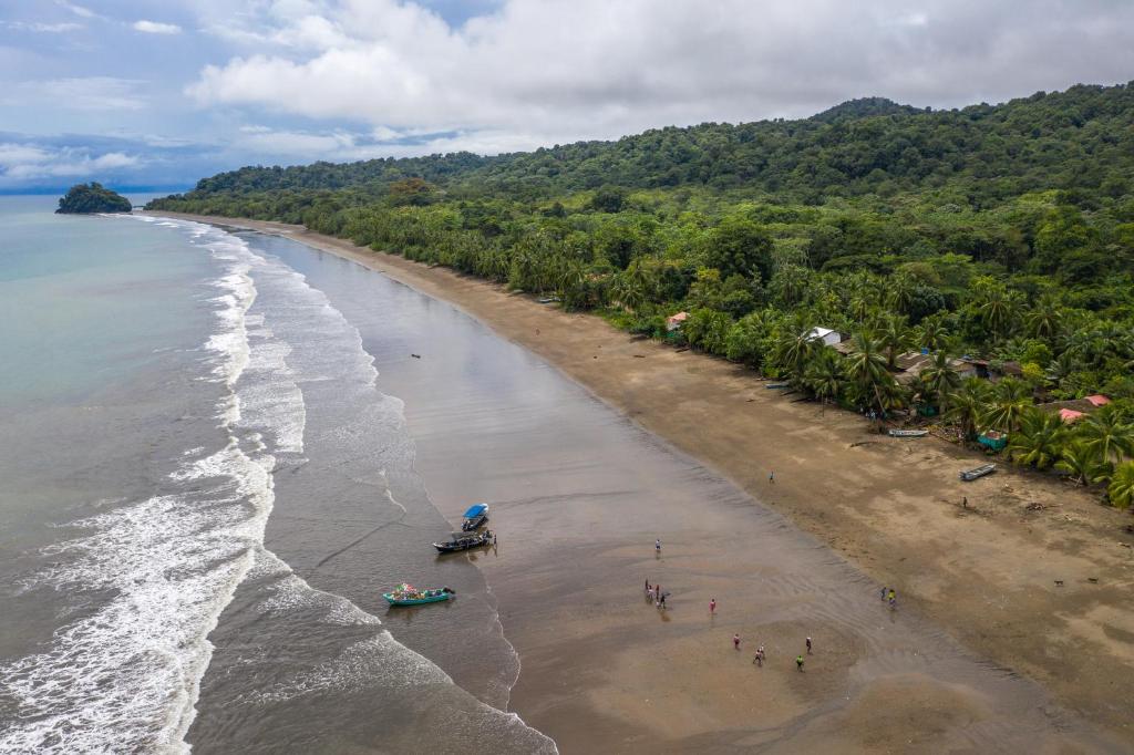 Chowa lodge - 4