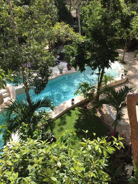 Cachito de Cielo Luxury Jungle Lodge - 2