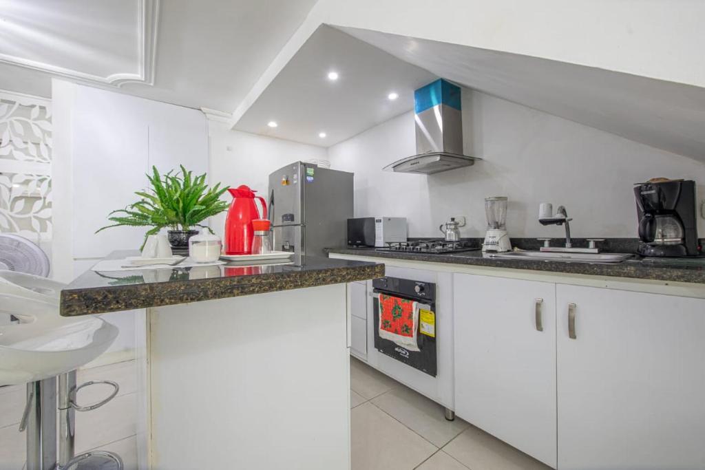 Apartamento en Casa Dandy - 4