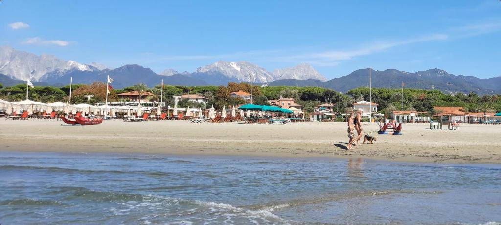 Art Hotel Pietrasanta photo