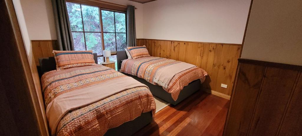 Tall Trees Eco Retreat photo