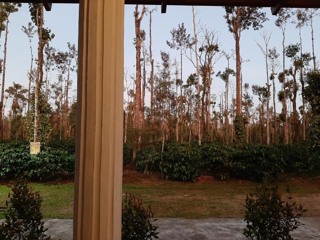 Katihalli Estate Stays photo