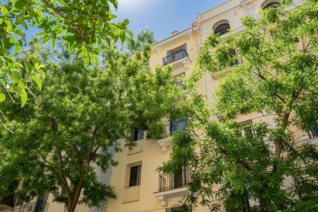 Quiet and cosy flat in N. Salamanca - 4
