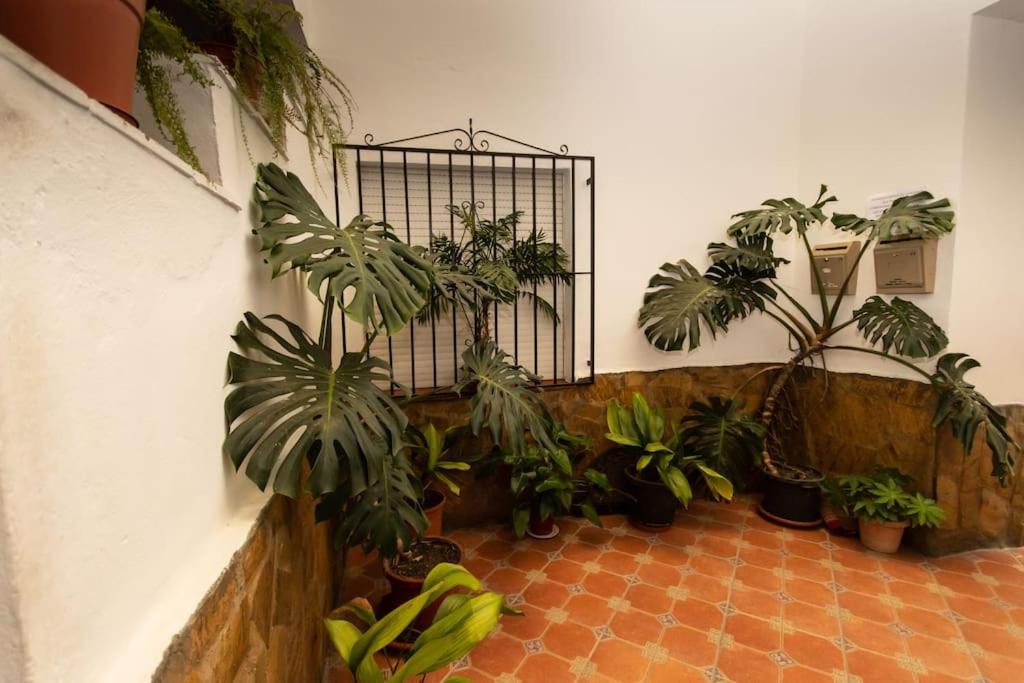 Precioso piso de 3 dormitorios, cocina y 1 baño - 2