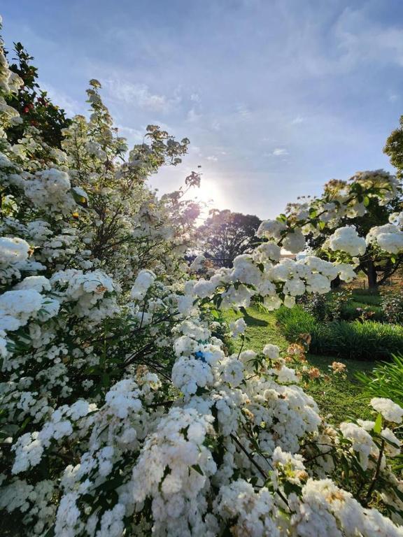 Lalani B&B/Self catering Cottages photo