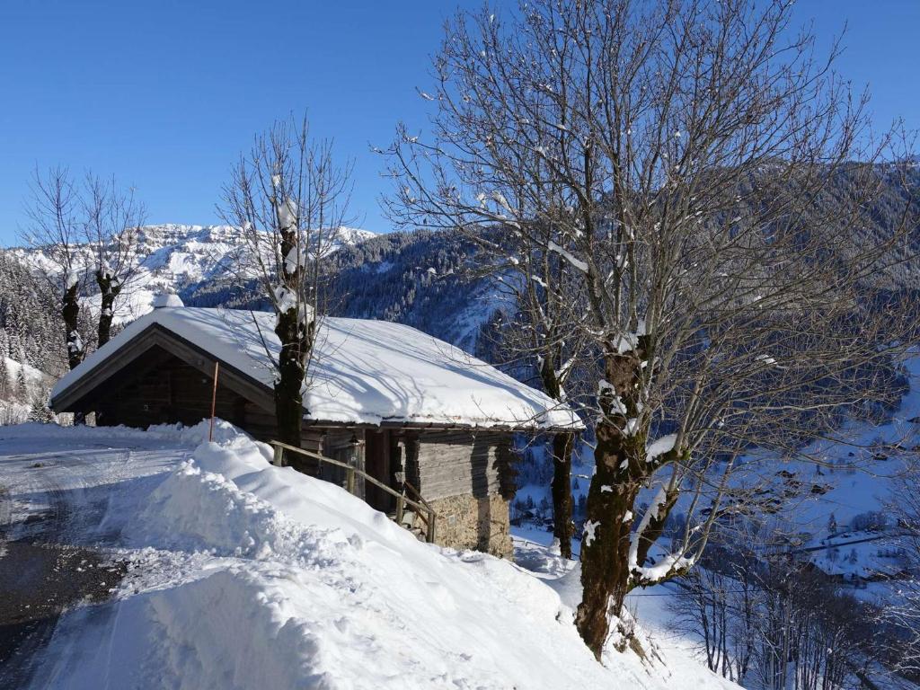 Chalet 3 pièces, 6 pers, 2 km des pistes, plein sud, internet - FR-1-342-158 - 4