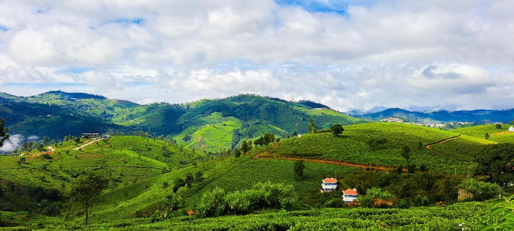 Ghar - Homestay, Where Family Lives Together photo