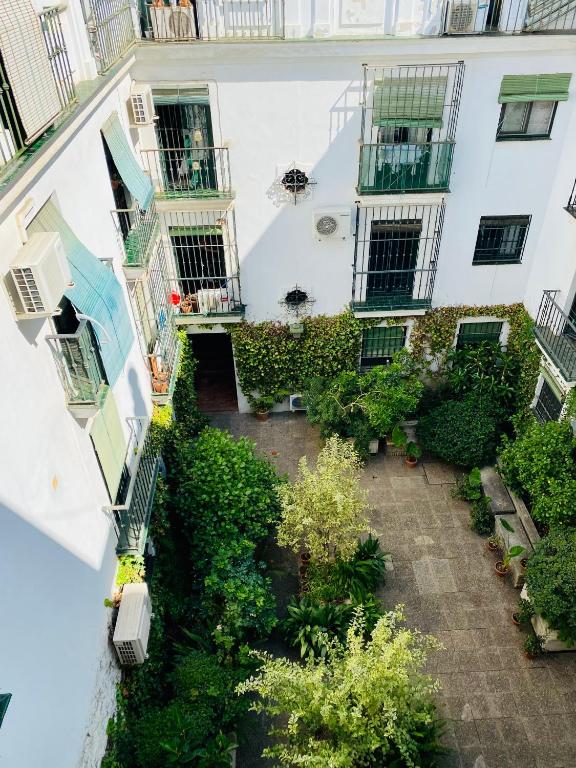 Magic Point Sevilla, Sevilla