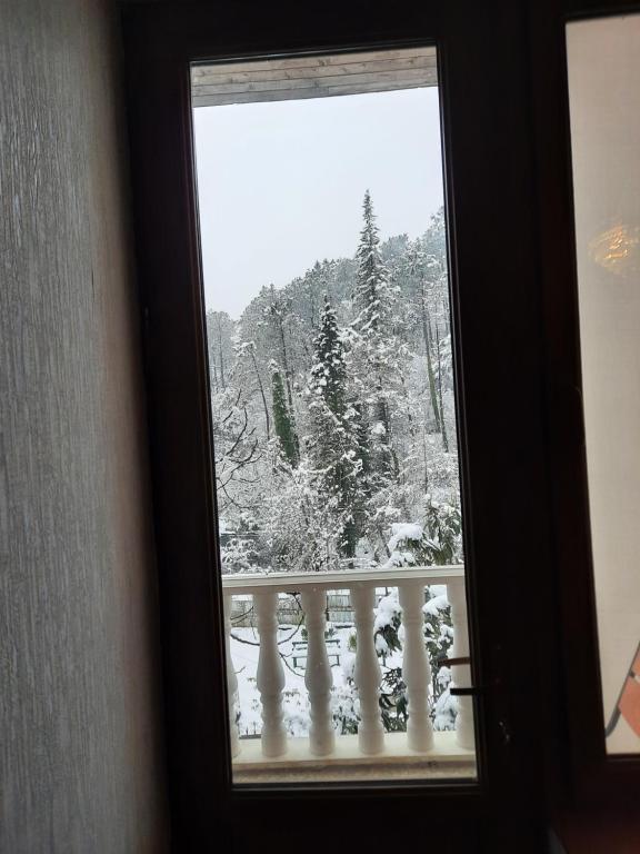 Hotel Good Luck photo