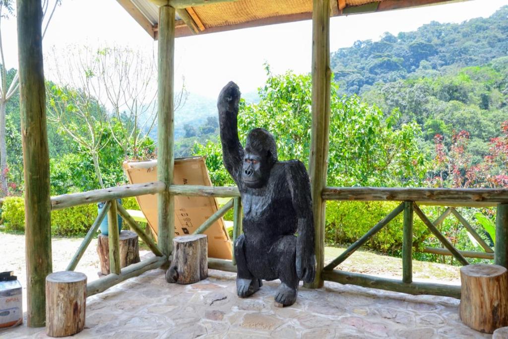 Gorilla Hills Eco-lodge photo