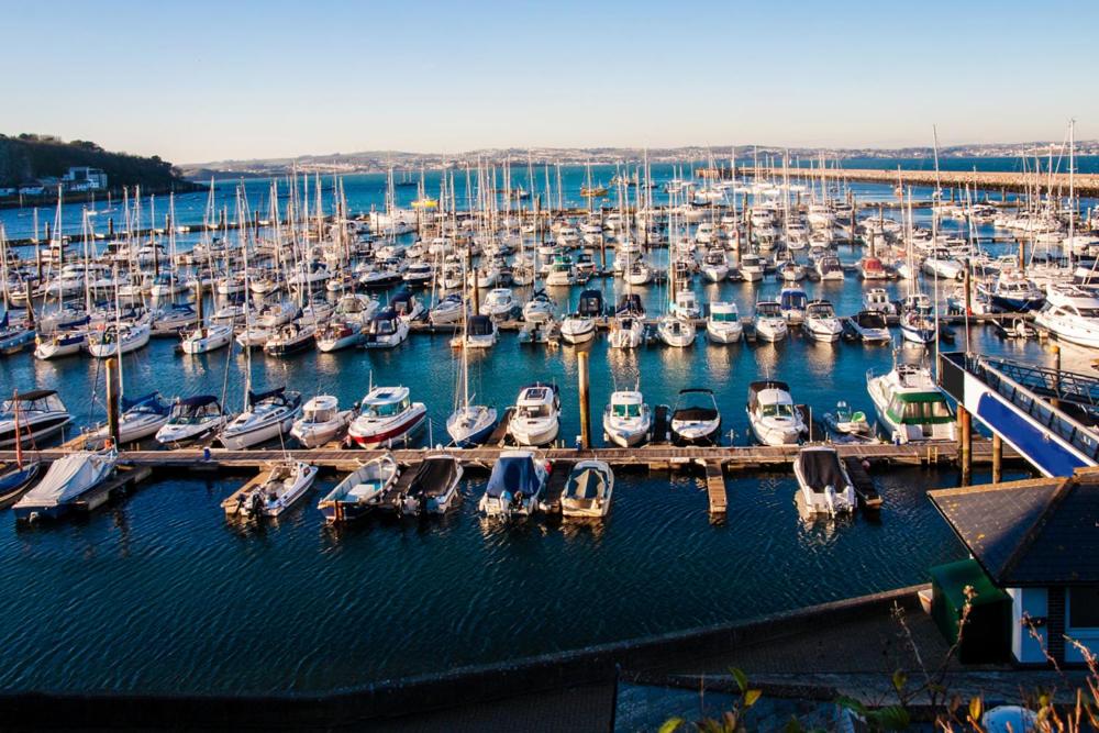 Sea La Vie, Brixham (Harbourside Apartment) photo 6