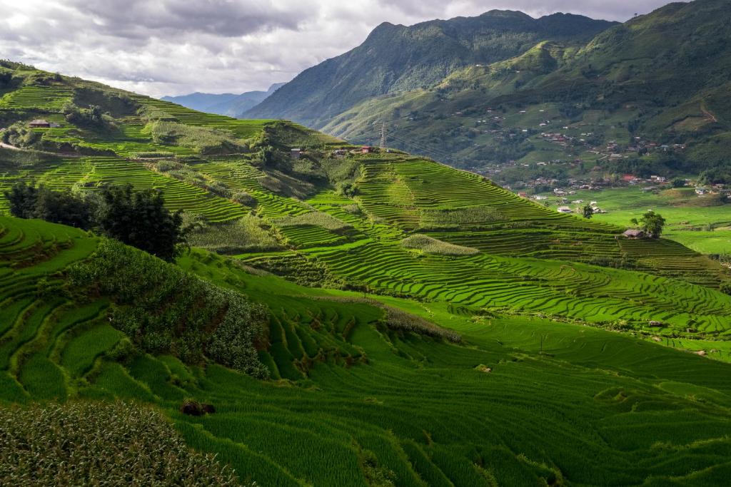 Surrounding environment