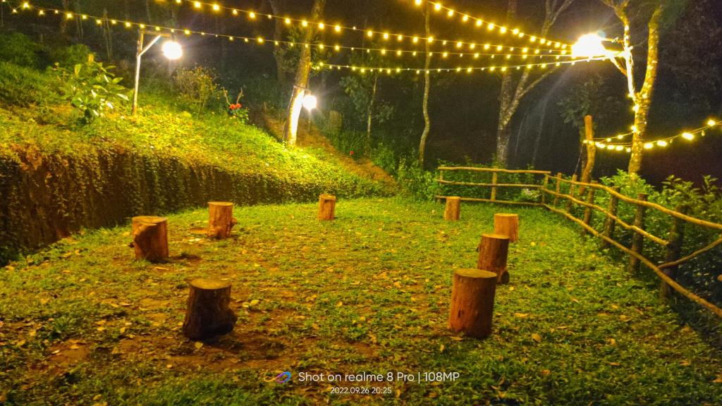 Eco Harmony Tent photo