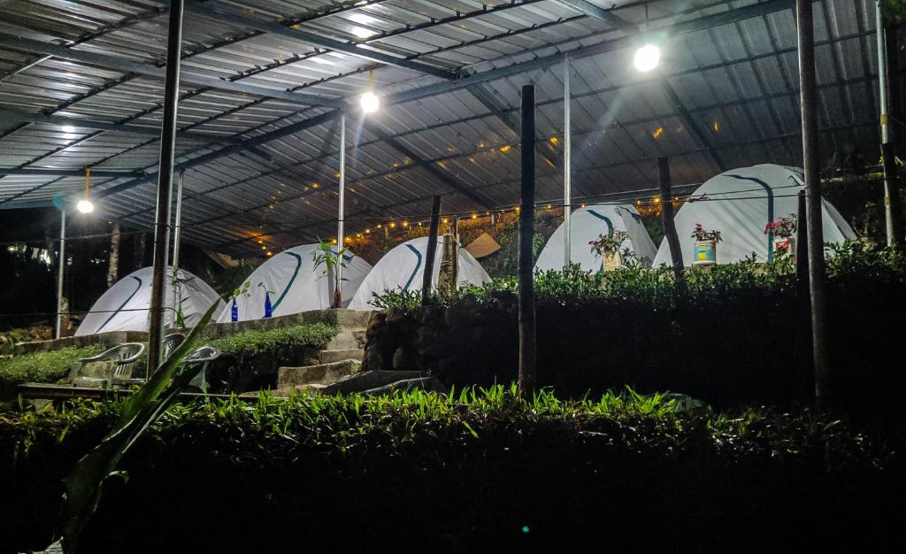 Eco Harmony Tent photo