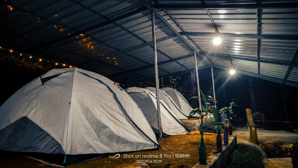 Eco Harmony Tent photo