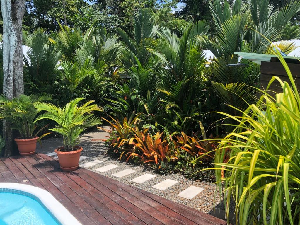 Alloro Jungle Villas photo