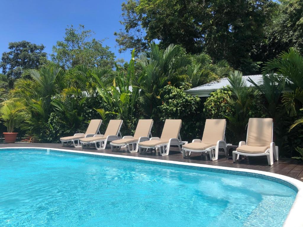 Alloro Jungle Villas photo