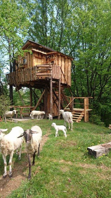 Treehouse Toplak, Ruše