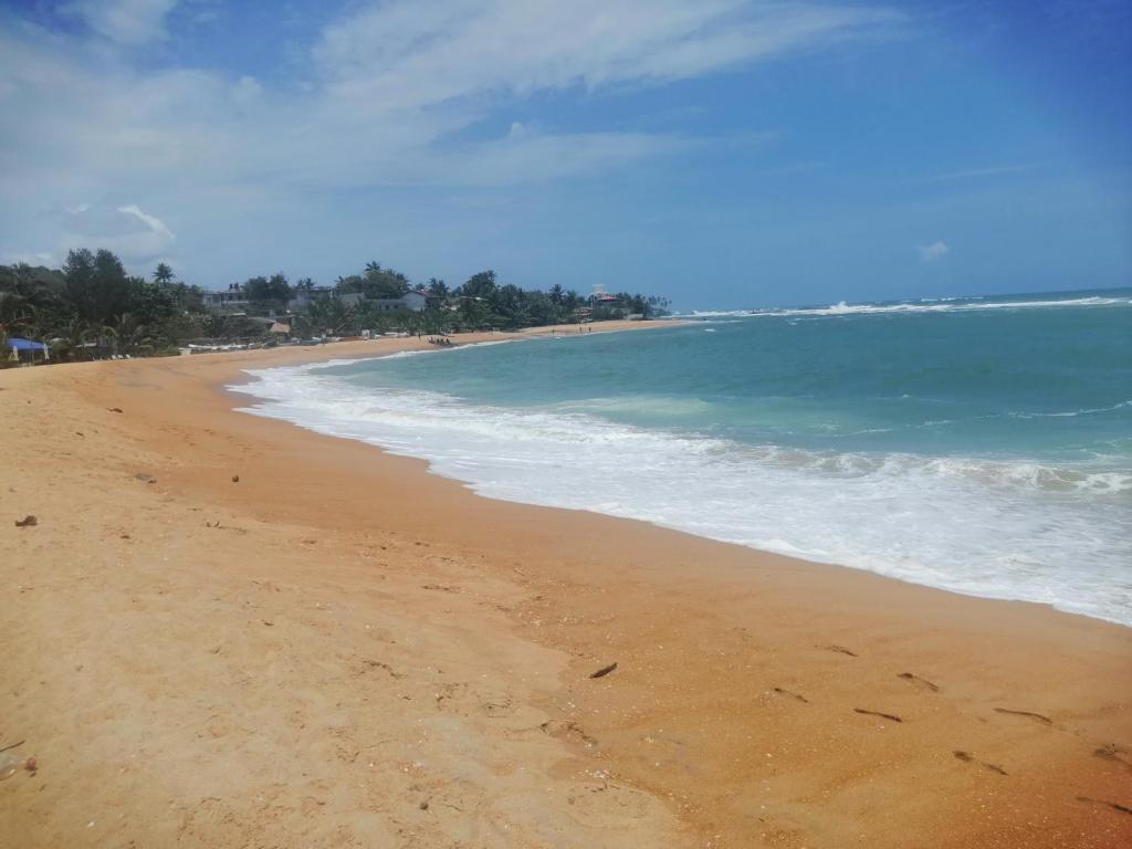 Rainbowswell Beach Resort photo