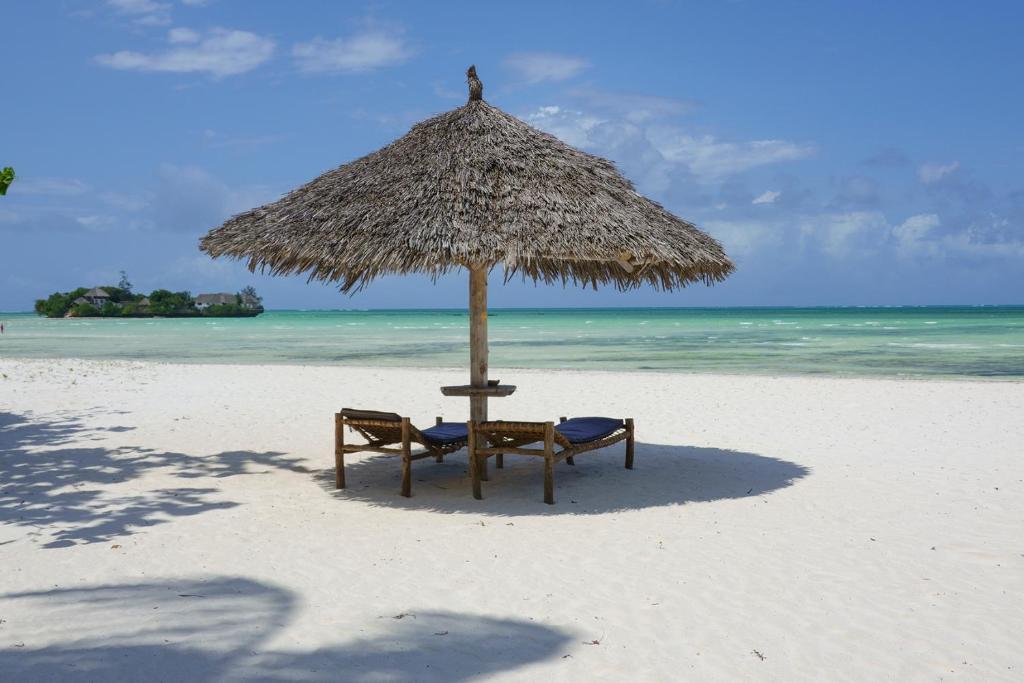 Pongwe Bay Resort photo