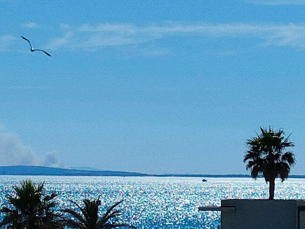 Savanna Beach