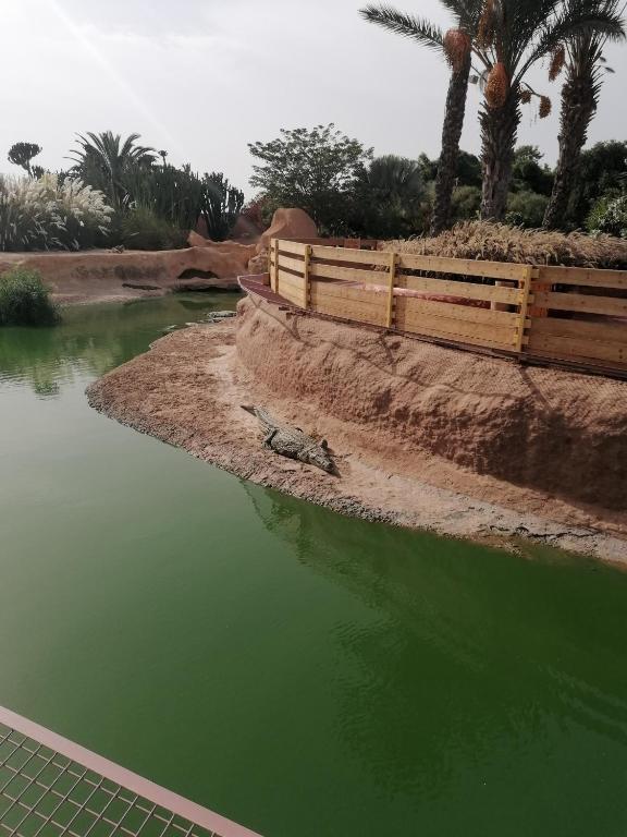 Mooie Apartment ligt 8km van Het strand Apartment in Agadir (Morocco)