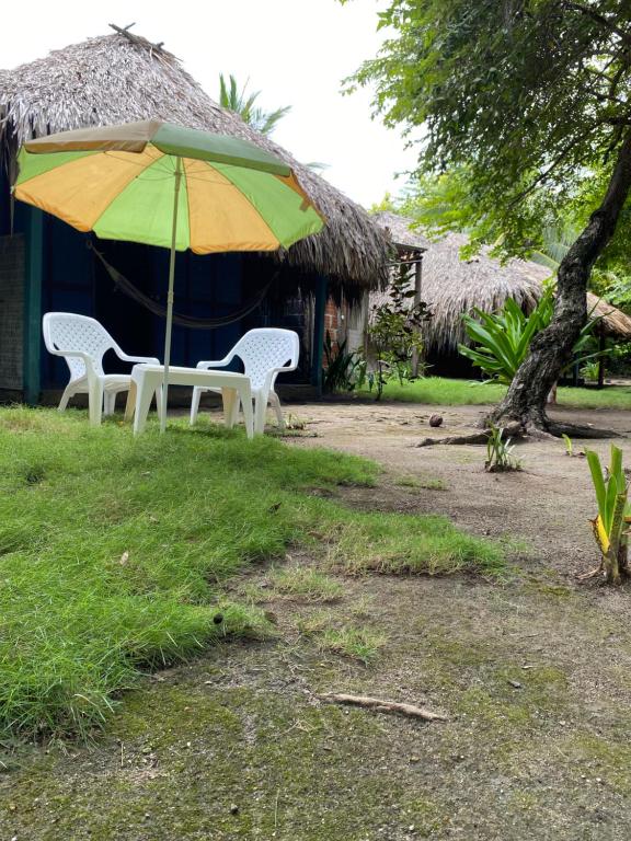 Eco Hotel Las Palmeras photo