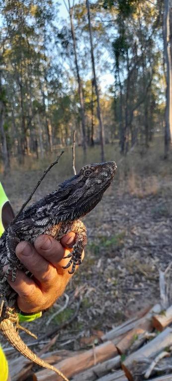 Childers Nature Camp photo